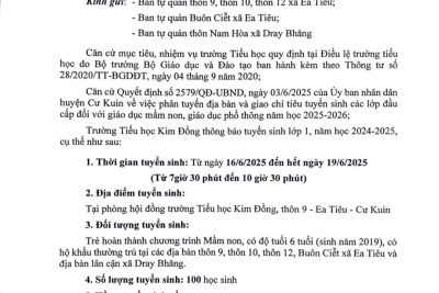 TRƯỜNG TIỂU HỌC KIM ĐỒNG THÔNG BÁO TUYỂN SINH!